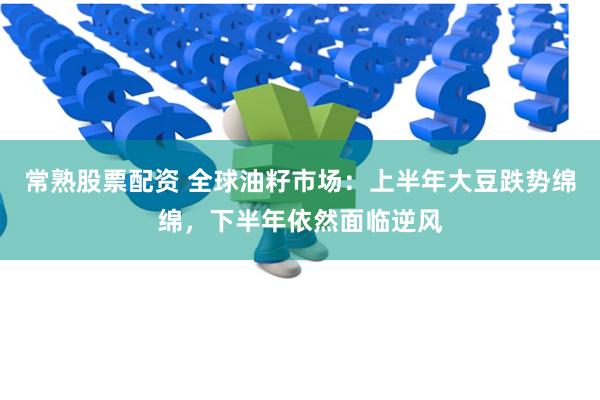 常熟股票配资 全球油籽市场：上半年大豆跌势绵绵，下半年依然面临逆风